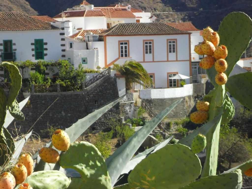 Casa Rural Las Cascaras Техеда Екстер'єр фото